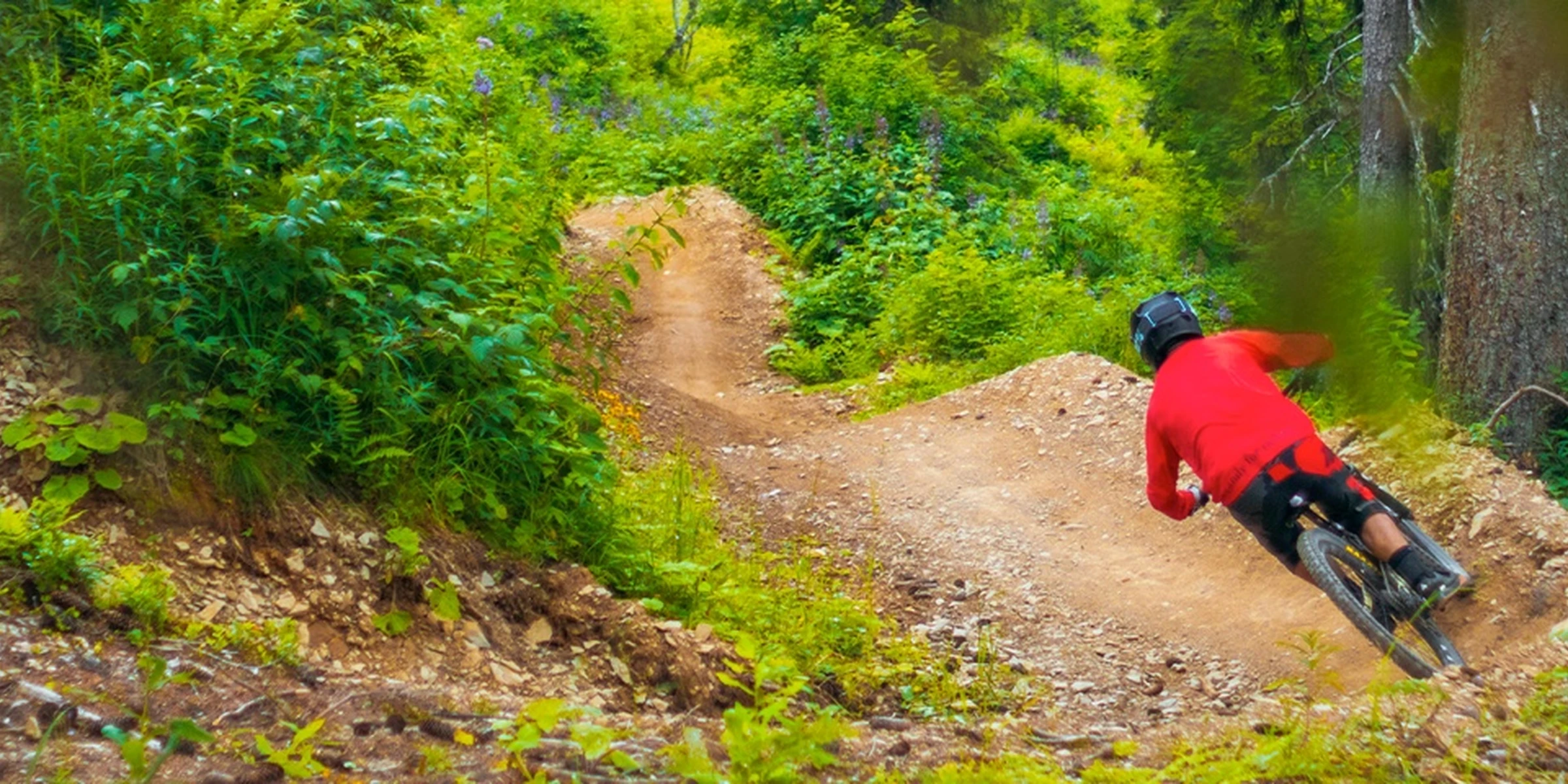 Bike park, secteurs DH